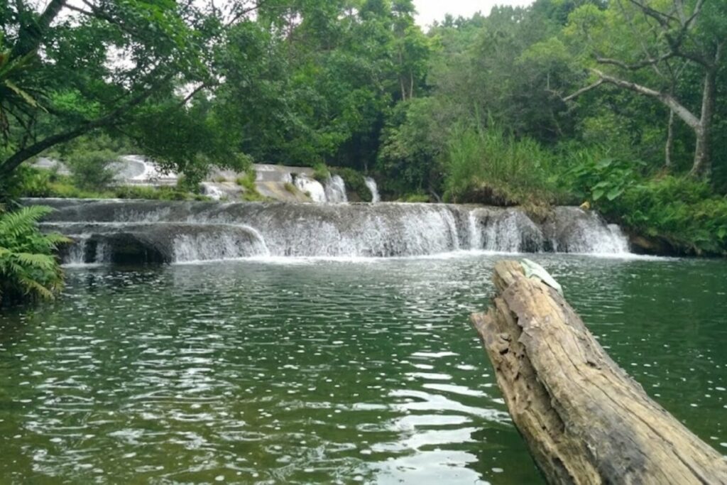 Đồng Nai: thiên đường hoang sơ đang thức giấc