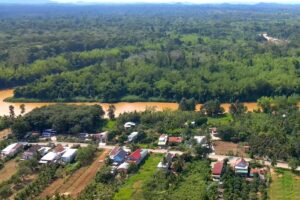 Vườn quốc gia Nam Cát Tiên