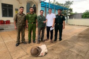 Người dân ở Đồng Nai tự nguyện bàn giao cá thể tê tê Java nặng 4kg cho lực lượng chức năng để cứu hộ, thả về tự nhiên