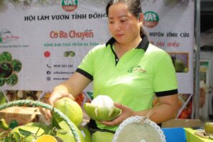 Bưởi Tân Triều khẳng định thương hiệu nhờ HTX, chỉ dẫn địa lý và tài sản trí tuệ, góp phần nâng cao chất lượng, mở rộng thị trường.