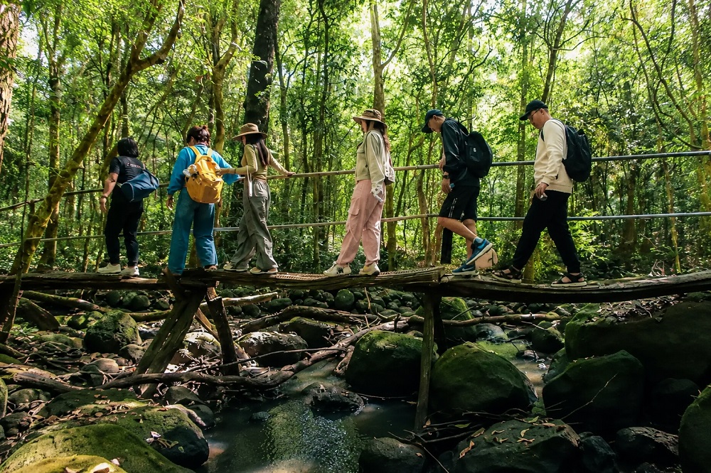 Khám phá những tour trải nghiệm rừng độc đáo ở Đồng Nai, từ Cát Tiên đến các hành trình gần gũi thiên nhiên hấp dẫn.