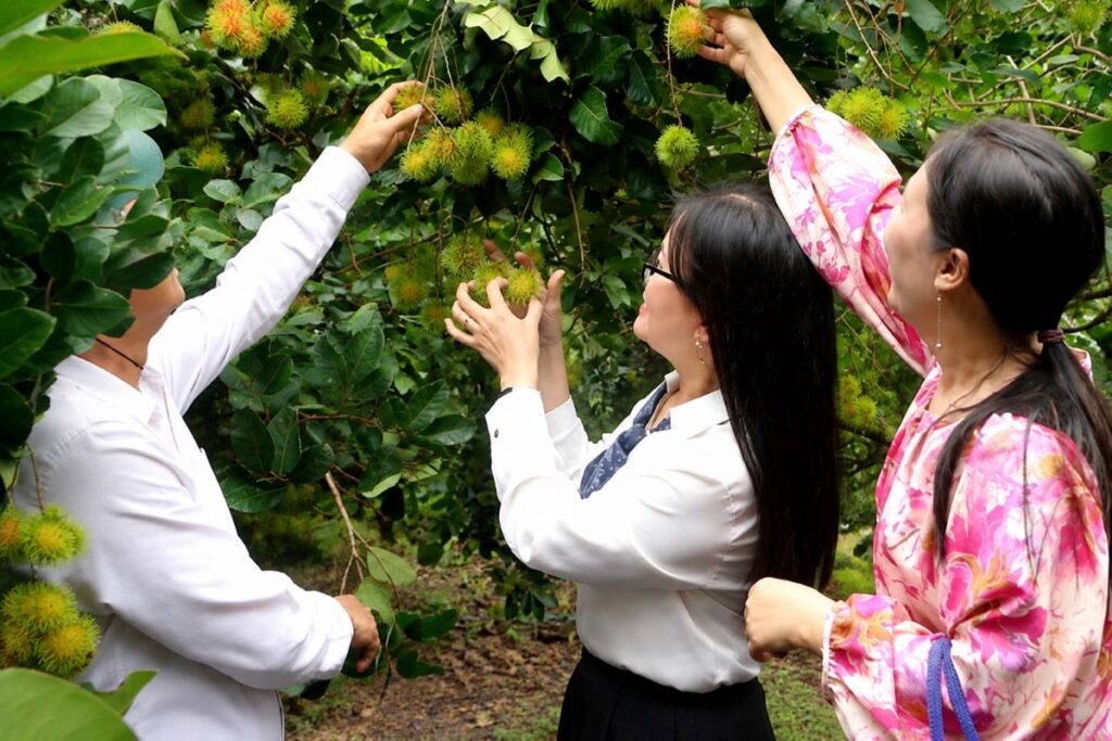 Đồng Nai tăng tốc kích cầu du lịch hè, phát huy lợi thế vườn cây ăn trái để thu hút du khách, hướng tới mục tiêu hơn 5,8 triệu lượt khách.