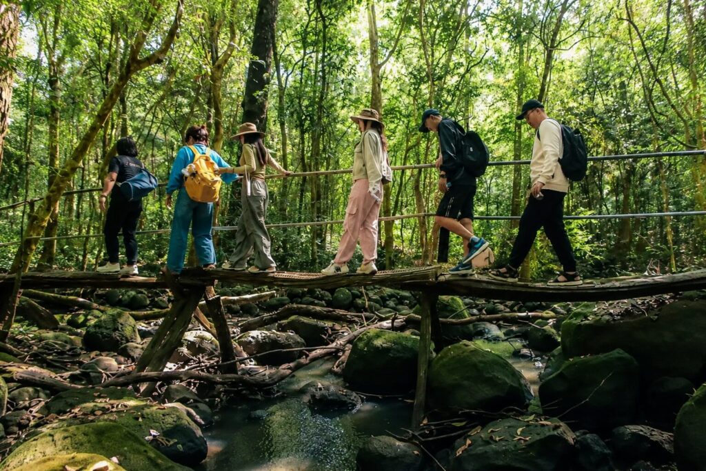 Khám phá những tour trải nghiệm rừng độc đáo ở Đồng Nai, hòa mình vào thiên nhiên và hệ sinh thái đa dạng hấp dẫn du khách.