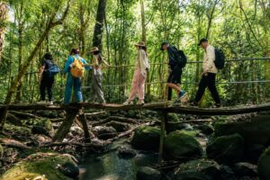 Khám phá những tour trải nghiệm rừng độc đáo ở Đồng Nai, hòa mình vào thiên nhiên và hệ sinh thái đa dạng hấp dẫn du khách.