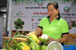 Bưởi Tân Triều khẳng định thương hiệu nhờ HTX, chỉ dẫn địa lý và tài sản trí tuệ, góp phần nâng cao chất lượng, mở rộng thị trường.
