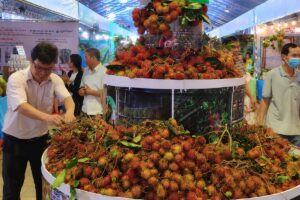 Lễ hội trái cây Long Khánh 2026 thu hút du khách với hàng tấn chôm chôm miễn phí, tham quan nhà vườn và trải nghiệm đặc sản miền Đông.