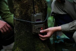Đồng Nai triển khai drone tầm nhiệt, camera AI và rào điện 75km để bảo vệ voi rừng, giảm xung đột với người dân vùng đệm.