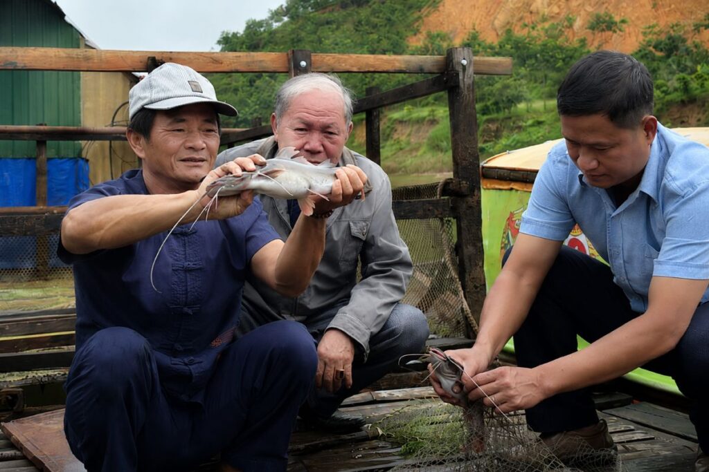 Nuôi cá bản địa trên sông Đồng Nai giúp người dân phát triển kinh tế hiệu quả với các loài cá lăng, cá chèn đặc sản, được thị trường ưa chuộng.