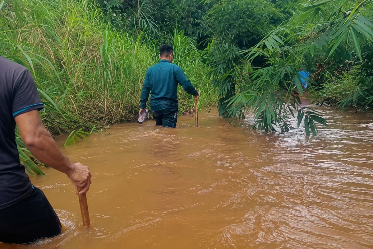 Xác minh thông tin cá sấu xuất hiện ở suối Cây Xanh, Đồng Nai; lực lượng chức năng khẩn trương kiểm tra, đảm bảo an toàn cho người dân.