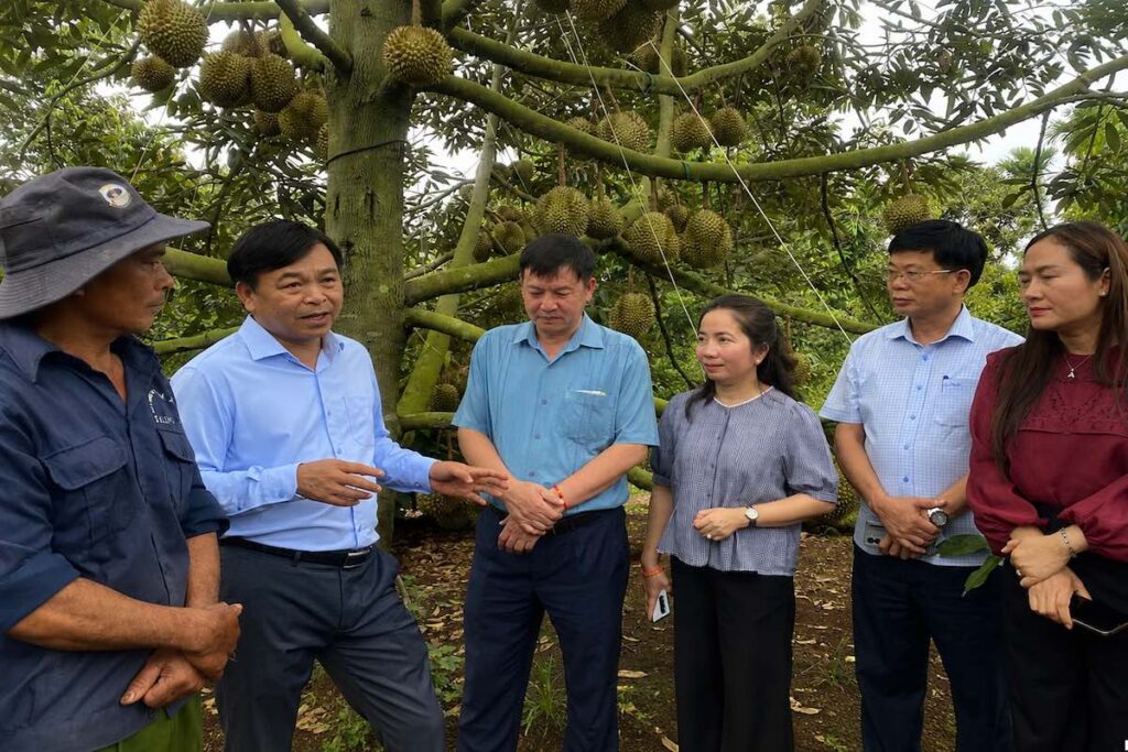 Đắk Lắk kiến nghị tháo gỡ vướng mắc về mã số vùng trồng sầu riêng. Bộ NN&MT cam kết thúc đẩy xuất khẩu chính ngạch.
