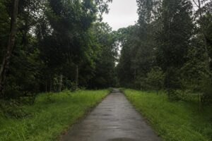 Khám phá Vườn quốc gia Cát Tiên với hệ sinh thái rừng phong phú, cảnh quan xanh mát và những giá trị thiên nhiên độc đáo.