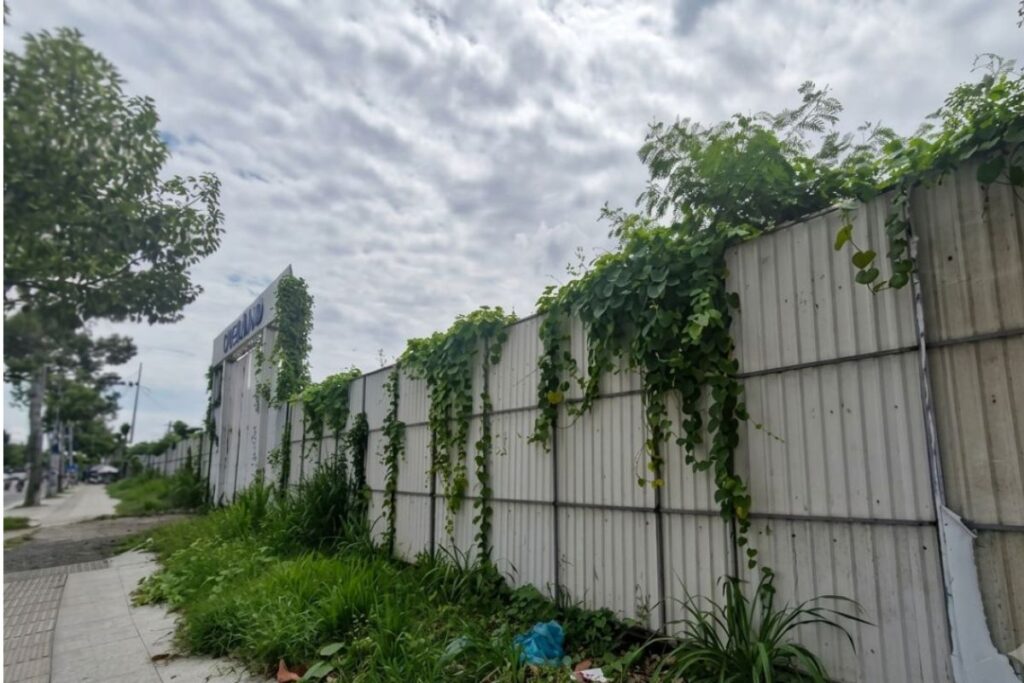 Dự án nghìn tỷ bỏ hoang nhiều năm, khu đô thị từng được kỳ vọng nay biến thành vườn sắn, gây lãng phí đất đai.