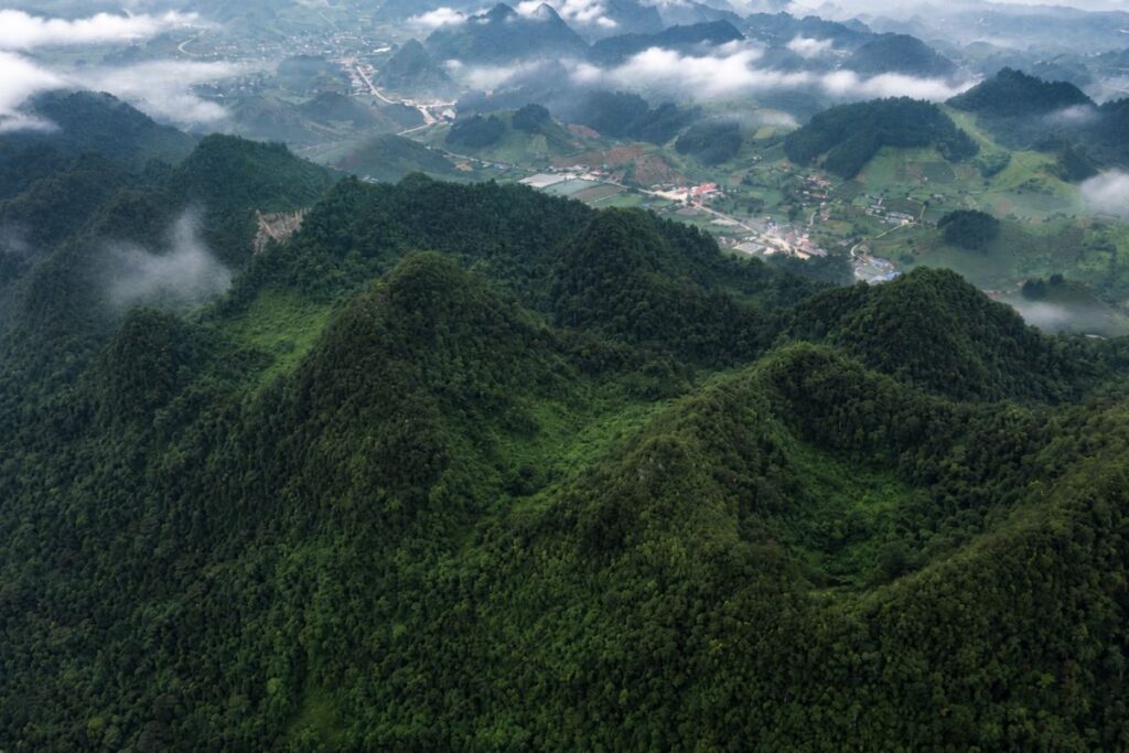 Góp Lá Vá Rừng 2026 đặt mục tiêu phục hồi thêm 72 ha rừng tự nhiên, góp phần bảo tồn đa dạng sinh học và phát triển bền vững.