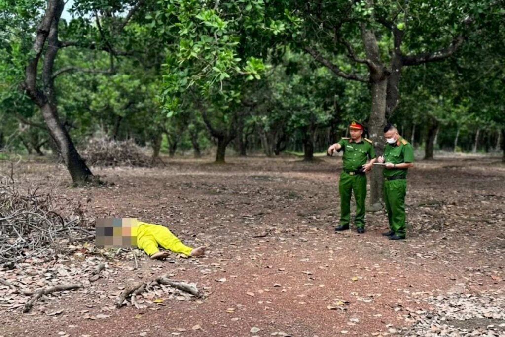 Công an khám nghiệm hiện trường vụ án mạng trong vườn điều ở phường Bình Phước, khẩn trương điều tra và truy bắt nghi phạm.