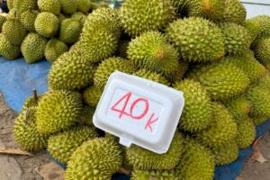 Giá sầu riêng Ri6 bán lẻ khoảng 40.000 đồng/kg, phản ánh sự chênh lệch lớn giữa các kênh phân phối nông sản.