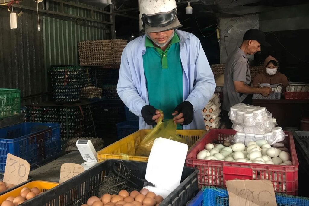 Giá trứng gia cầm ngày 19/8 tiếp tục giảm sâu tại nhiều vùng, trong khi giá cà phê tăng mạnh và giá heo hơi giảm tại nhiều địa phương.