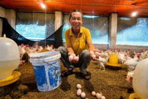 Bỏ nghề giáo, ông Hòe thu gần 8 triệu đồng mỗi ngày nhờ mô hình nuôi gà siêu trứng, mở ra hướng làm giàu hiệu quả từ chăn nuôi.