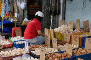Giá trứng gà tăng trở lại sau thời gian giảm sâu nhờ nhu cầu cải thiện, trong khi sầu riêng Việt Nam ngày càng rẻ.