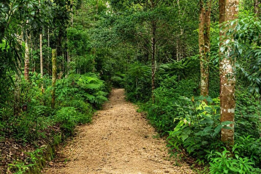 Khám phá Mã Đà với rừng xanh, hồ Trị An và những giá trị tự nhiên, lịch sử tạo nên sức hút riêng của điểm đến miền Đông Nam Bộ.