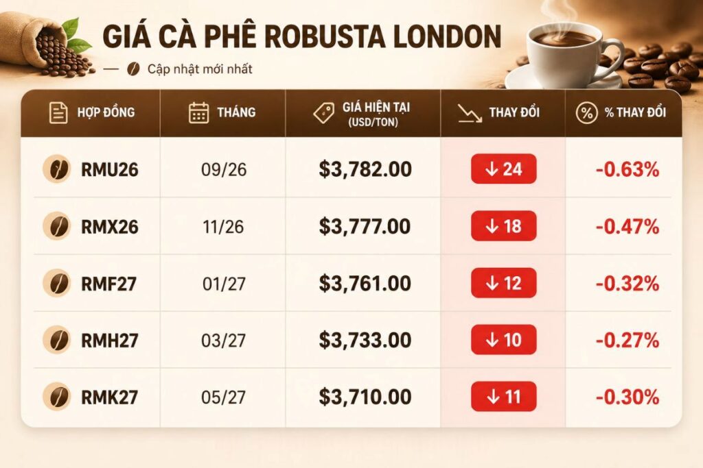 Giá cà phê Robusta London giảm 24 USD/tấn, trong khi giá cà phê trong nước tăng, hướng tới mốc 98.000 đồng/kg.