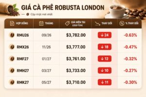 Giá cà phê Robusta London giảm 24 USD/tấn, trong khi giá cà phê trong nước tăng, hướng tới mốc 98.000 đồng/kg.