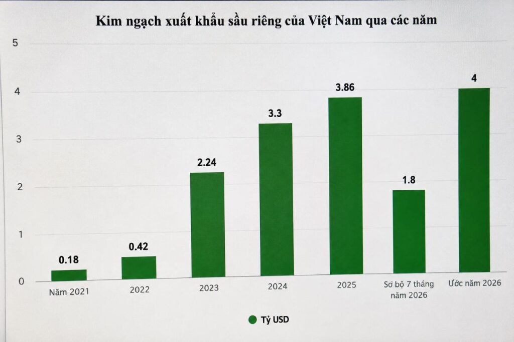 Xuất khẩu sầu riêng tăng mạnh qua các năm nhưng giá bán ngày càng giảm. Tìm hiểu nguyên nhân và những tác động đến ngành hàng.