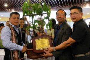 Củ sâm Ngọc Linh hơn 35 năm tuổi được đấu giá thành công 725 triệu đồng, thu hút sự quan tâm nhờ giá trị quý hiếm.