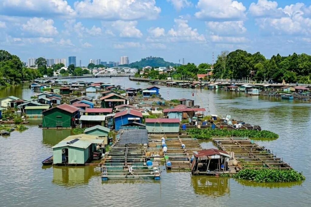 Đồng Nai chuẩn bị giải tỏa hàng trăm bè cá trên sông Cái, nơi gắn với sinh kế của nhiều hộ dân suốt nhiều năm qua.