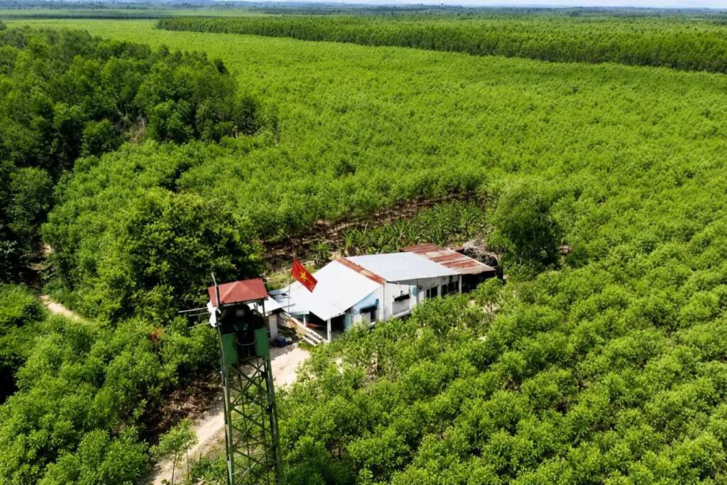 Đồng Nai quản lý hơn 370.000ha rừng và đất lâm nghiệp, mở ra cơ hội phát triển rừng bền vững, bảo vệ môi trường và kinh tế xanh.