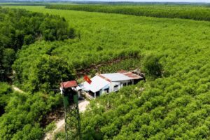 Đồng Nai quản lý hơn 370.000ha rừng và đất lâm nghiệp, mở ra cơ hội phát triển rừng bền vững, bảo vệ môi trường và kinh tế xanh.