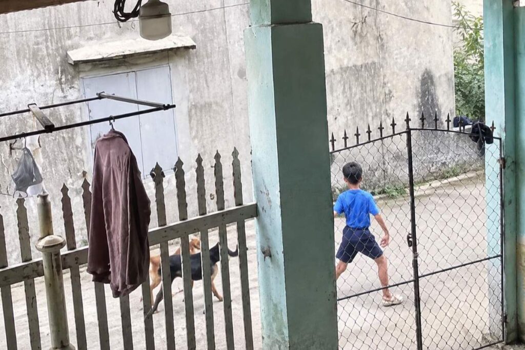Bé trai 6 tuổi đi lạc trên núi được tìm thấy sau một đêm. Hình ảnh chú chó đi cùng em gây xúc động.
