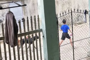 Bé trai 6 tuổi đi lạc trên núi được tìm thấy sau một đêm. Hình ảnh chú chó đi cùng em gây xúc động.