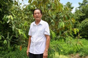 Lão nông 82 tuổi ở Cần Thơ sở hữu vườn sầu riêng 5,5ha, mỗi năm thu hơn 100 tấn trái, lợi nhuận khoảng 5 tỷ đồng.