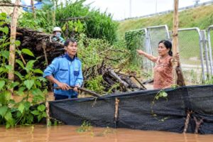 Nước sông Buông dâng nhanh khiến nhiều khu dân cư ngập sâu, nhà cửa và vườn tược chìm trong nước, tài sản của người dân bị ảnh hưởng.