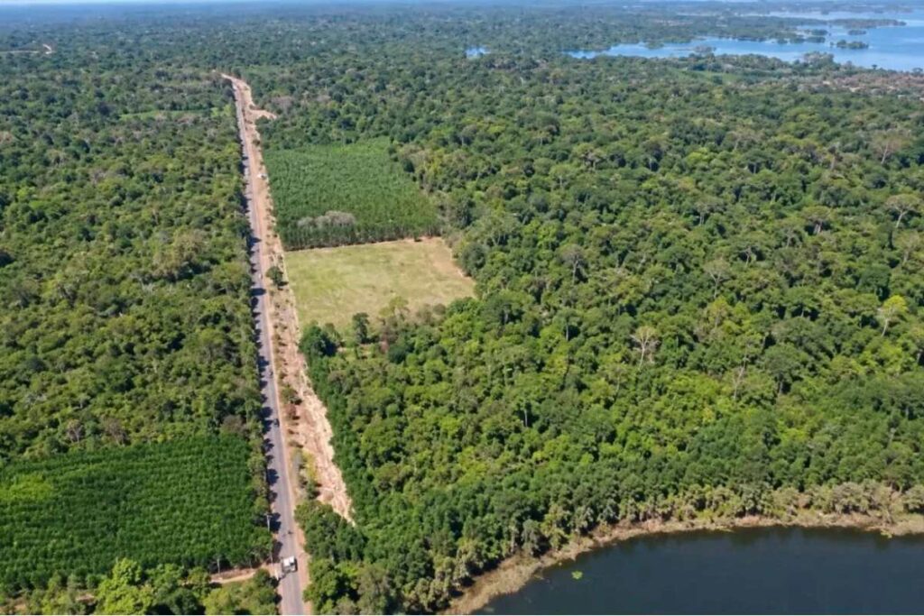 Đồng Nai triển khai tuyến đường hơn 31km qua phường Trị An và xã Tân An, quy mô 8 làn xe cùng phương án tường ngăn voi.