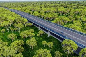 Đồng Nai xây 7 công trình sinh thái trên tuyến đường 8 làn nhằm bảo vệ động vật hoang dã và duy trì hành lang di chuyển.