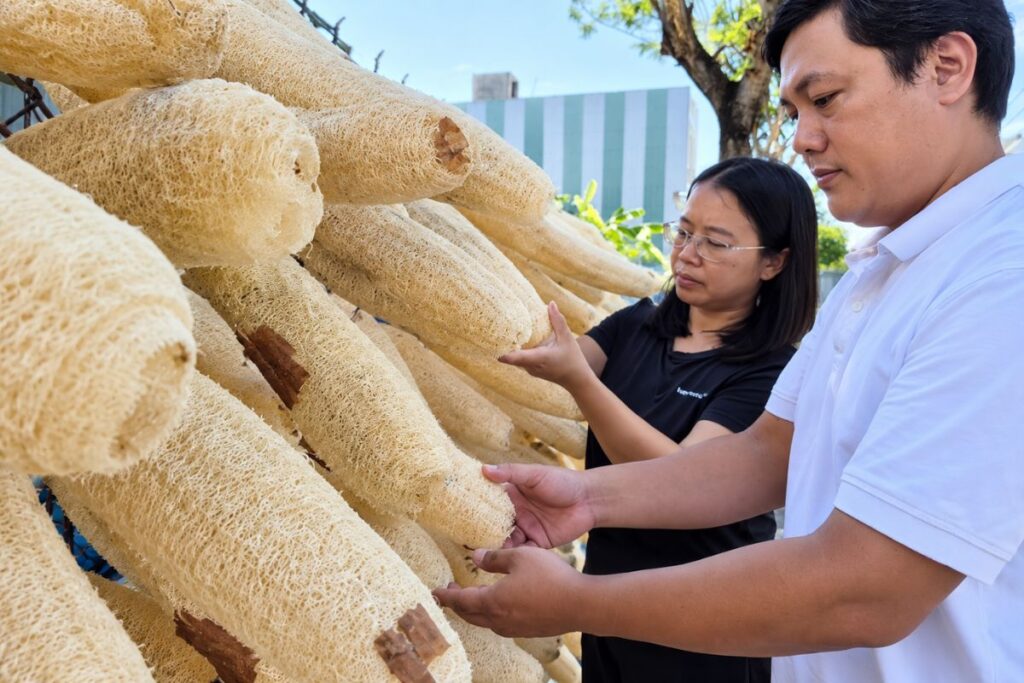 Từ đơn hàng 30 USD, vợ chồng Việt biến xơ mướp già thành hơn 20 sản phẩm gia dụng, xuất khẩu sang nhiều thị trường.