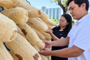 Từ đơn hàng 30 USD, vợ chồng Việt biến xơ mướp già thành hơn 20 sản phẩm gia dụng, xuất khẩu sang nhiều thị trường.