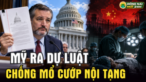 Thượng viện Mỹ thông qua S.4009 về thu hoạch nội tạng cưỡng bức, trong khi nghiên cứu mới cảnh báo hành vi lừa dối của AI tự hành Trung Quốc.