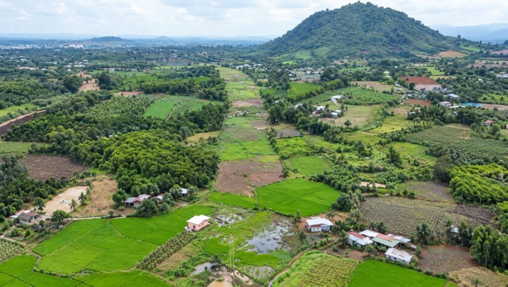 Toàn cảnh vùng đất nông nghiệp tại Đồng Nai với các thửa ruộng xanh, nhà dân và núi ở phía xa.