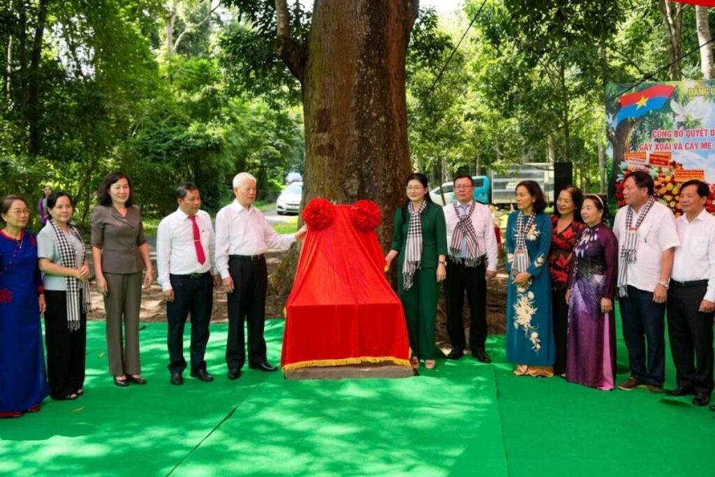 Hai cây cổ thụ tại Di tích Tà Thiết được công nhận Cây Di sản Việt Nam. Khám phá khoảnh khắc công bố danh hiệu ý nghĩa này.