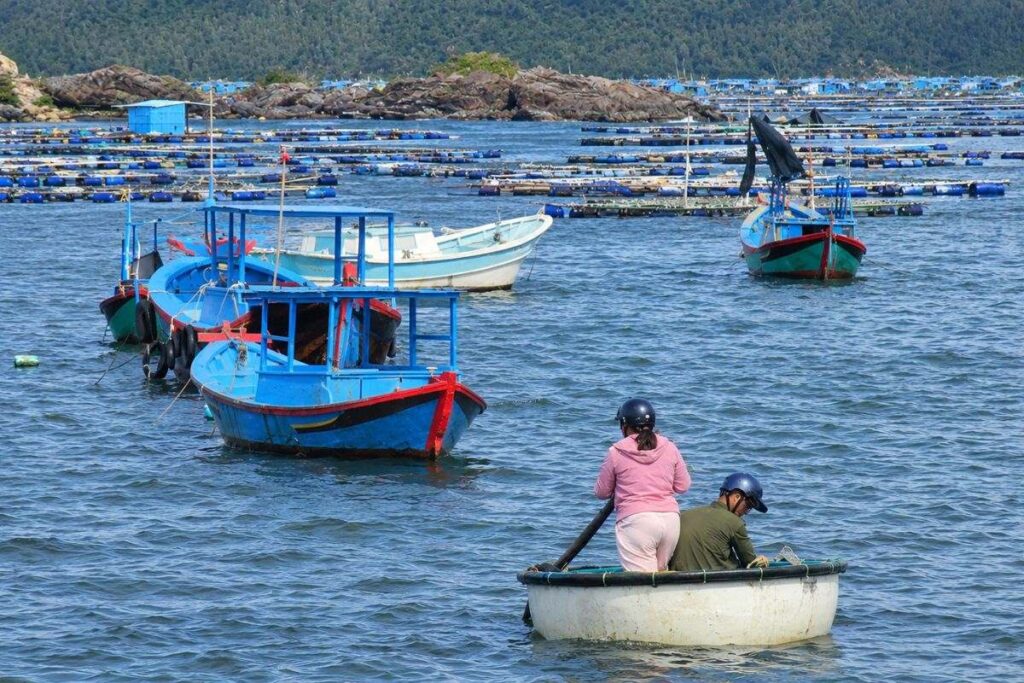 Người nuôi tôm hùm ở Đắk Lắk gia cố lồng bè, khôi phục sinh kế và chủ động ứng phó nguy cơ bão lũ. Xem những thách thức tại vùng nuôi.