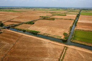 Xâm nhập mặn mùa khô 2026–2027 có thể vào sâu 130km, đe dọa sản xuất lúa miền Tây. Ngành nông nghiệp khuyến cáo điều chỉnh thời vụ để né hạn, mặn.